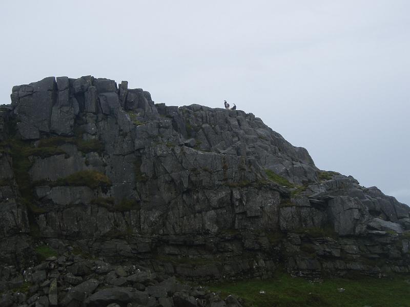 Rhinnogs 016.jpg